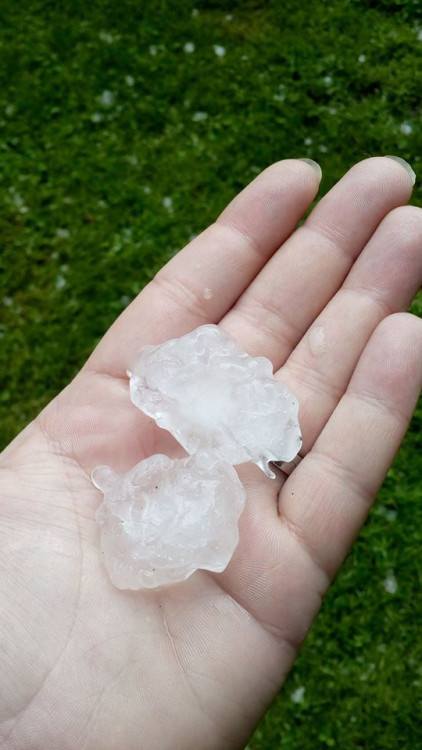 Kroupy z nedělní bouřky