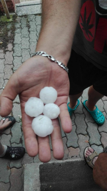 Kroupy z nedělní bouřky