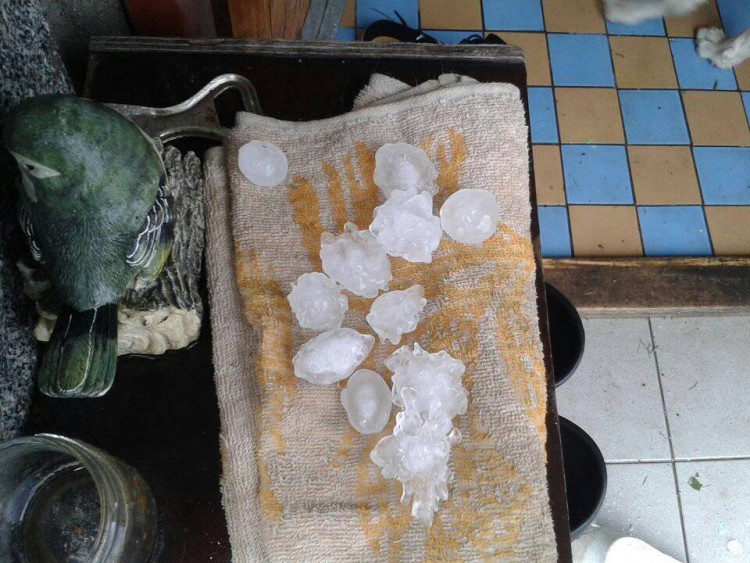 Kroupy z nedělní bouřky