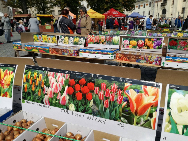 Dožínky - Den zemědělců a potravinářů v Jihlavě