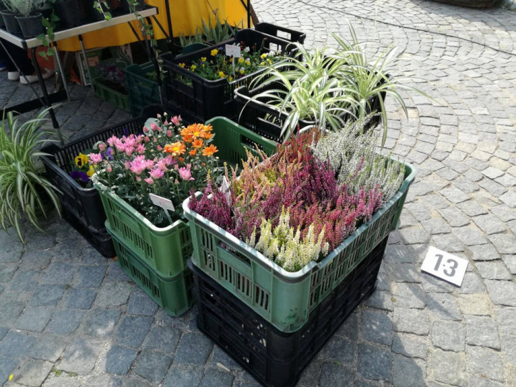 Dožínky - Den zemědělců a potravinářů v Jihlavě
