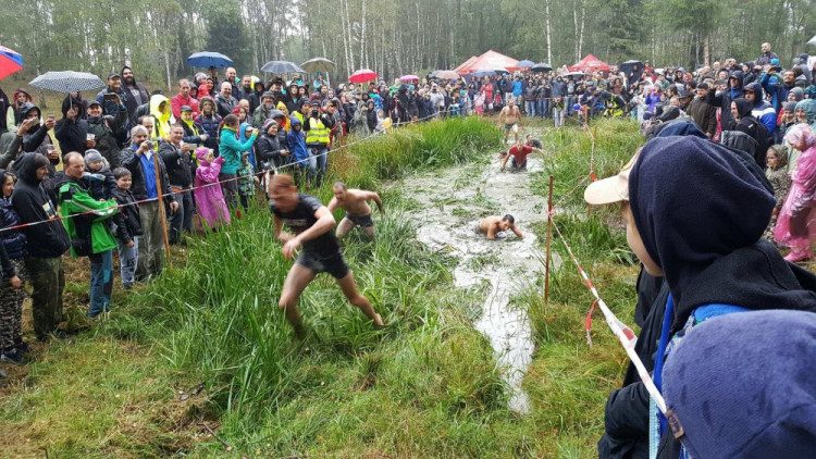 Pístovské mokřady 2017