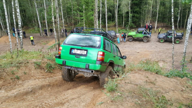 Pístovské mokřady 2017