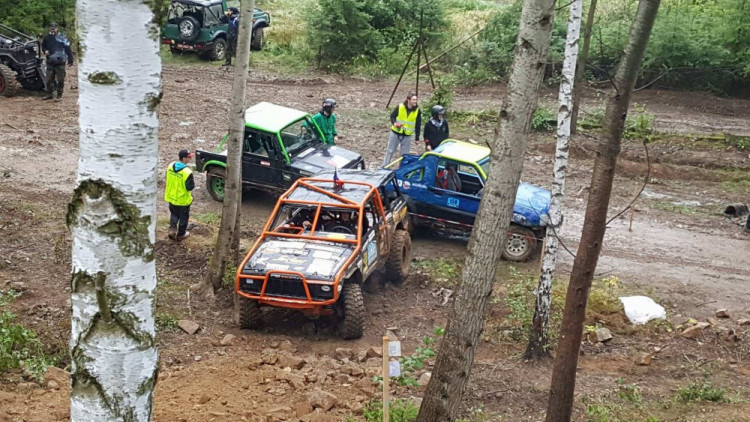 Pístovské mokřady 2017