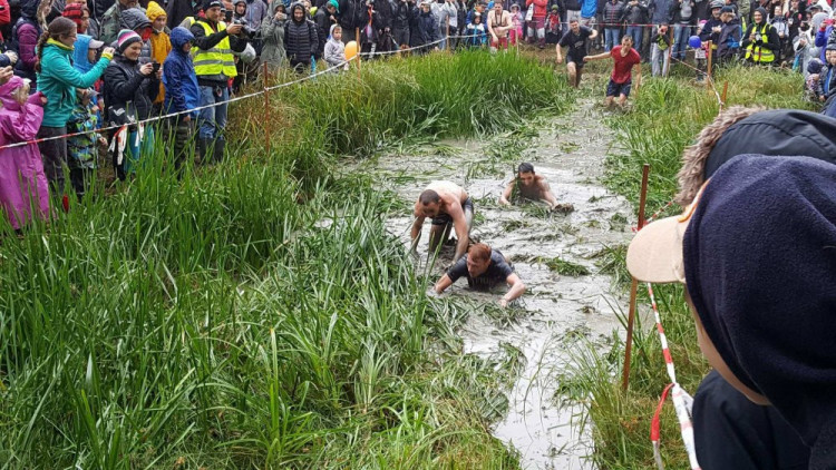 Pístovské mokřady 2017