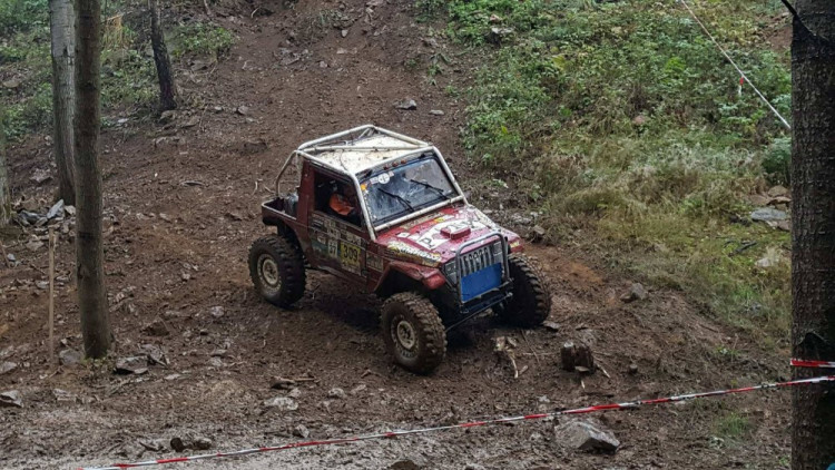 Pístovské mokřady 2017