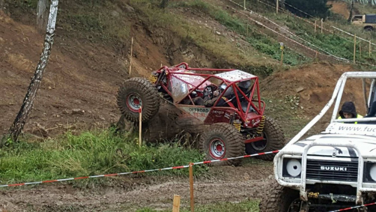 Pístovské mokřady 2017