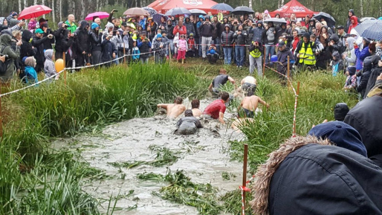 Pístovské mokřady 2017