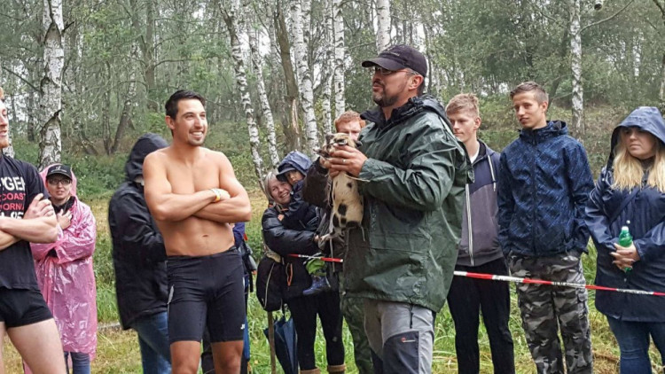 Pístovské mokřady 2017