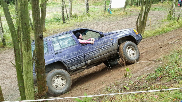 Pístovské mokřady 2017