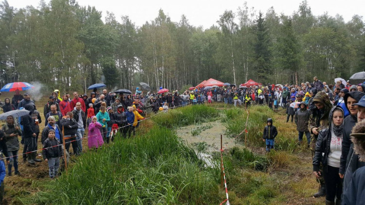 Pístovské mokřady 2017