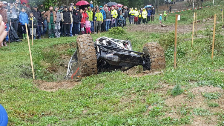 Pístovské mokřady 2017