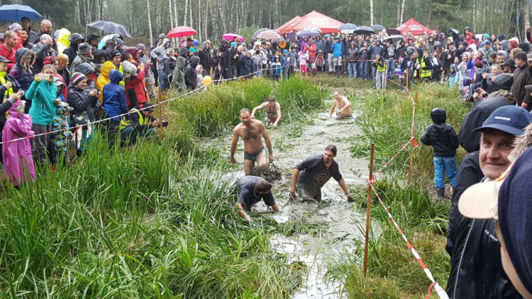 Pístovské mokřady 2017