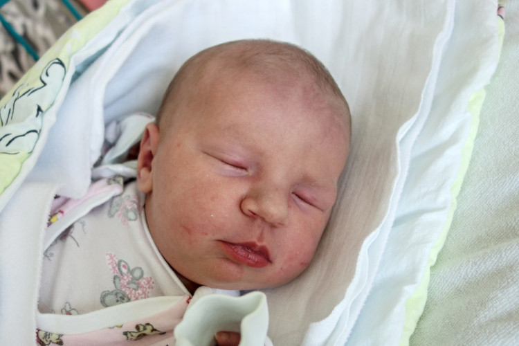 Nováková Kristýna