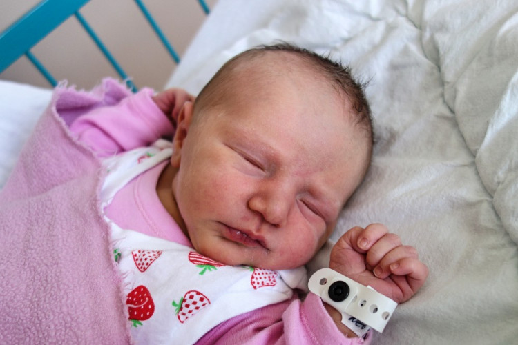 Rollingerová Kateřina