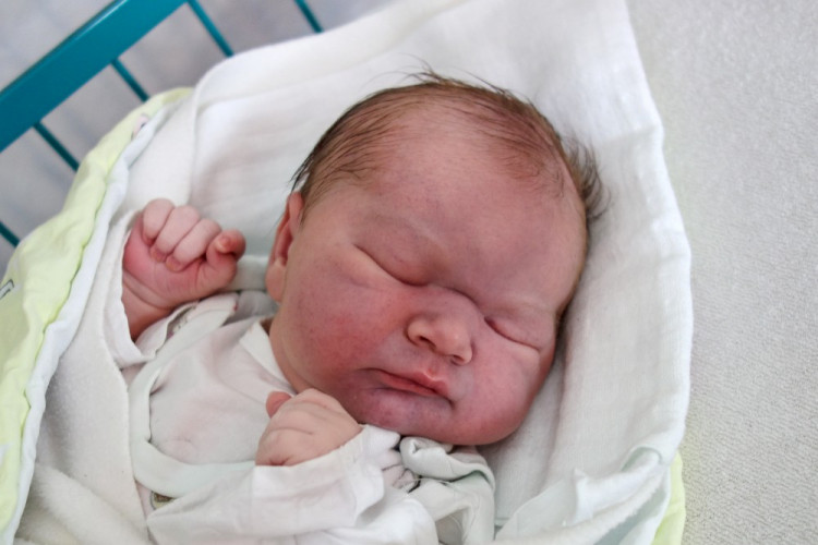 Vondrášková Veronika