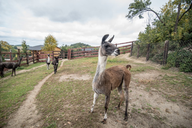 Zahradnictví, které baví. Ve Stříteži si na své přijdou velcí i malí