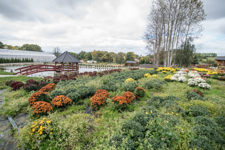 Zahradnictví, které baví. Ve Stříteži si na své přijdou velcí i malí