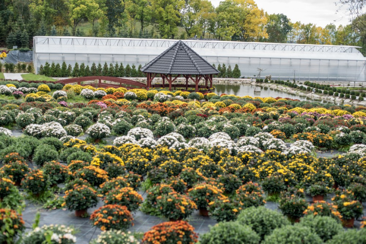 Zahradnictví, které baví. Ve Stříteži si na své přijdou velcí i malí