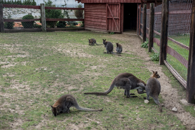 Zahradnictví, které baví. Ve Stříteži si na své přijdou velcí i malí