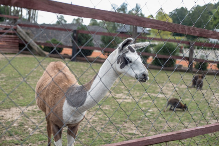 Zahradnictví, které baví. Ve Stříteži si na své přijdou velcí i malí