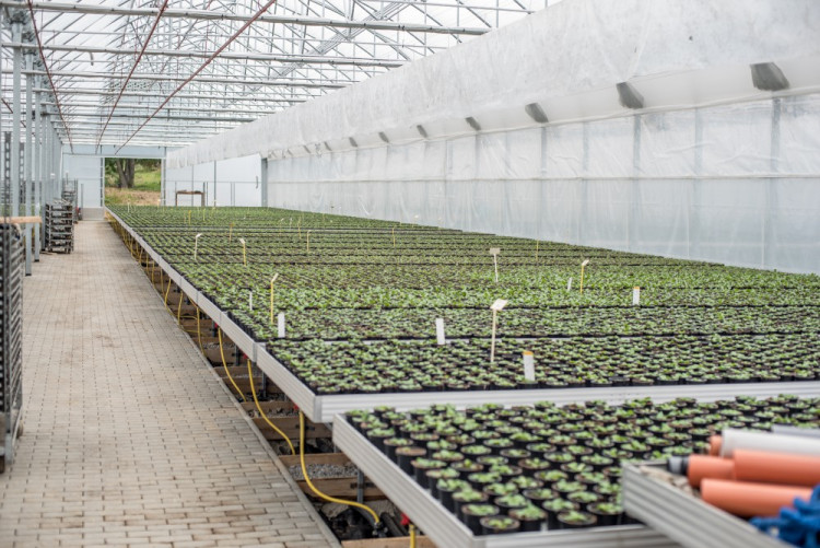 Zahradnictví, které baví. Ve Stříteži si na své přijdou velcí i malí