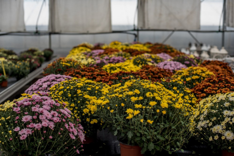 Zahradnictví, které baví. Ve Stříteži si na své přijdou velcí i malí