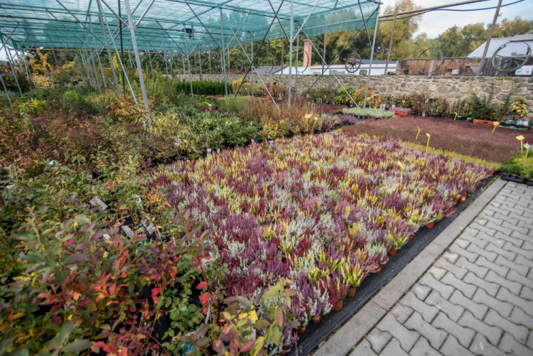 Zahradnictví, které baví. Ve Stříteži si na své přijdou velcí i malí