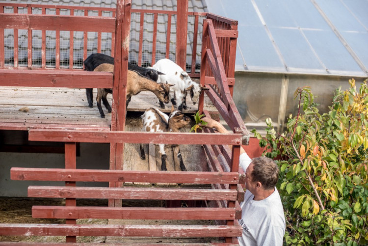 Zahradnictví, které baví. Ve Stříteži si na své přijdou velcí i malí