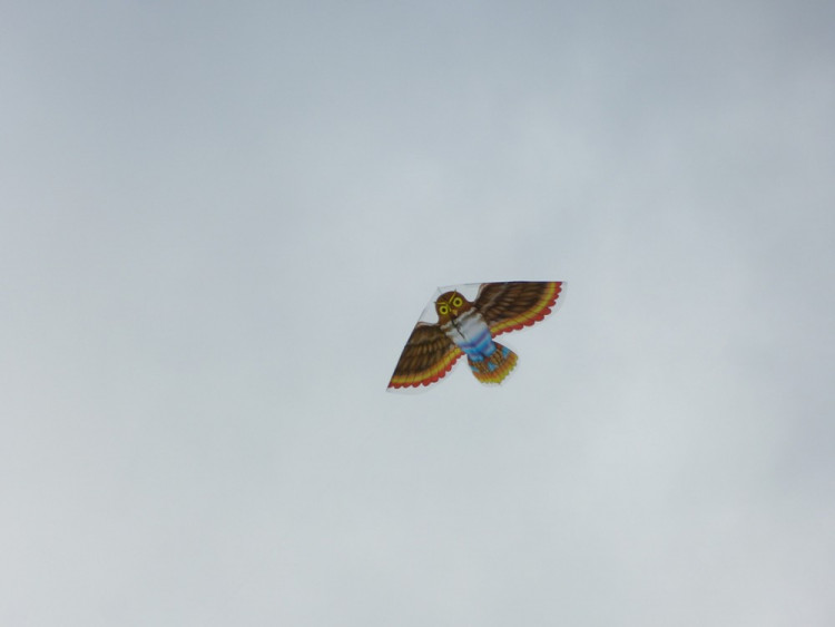 Drakiáda na letišti v Henčově