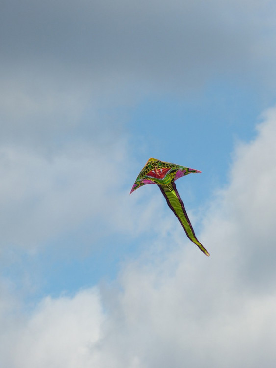 Drakiáda na letišti v Henčově