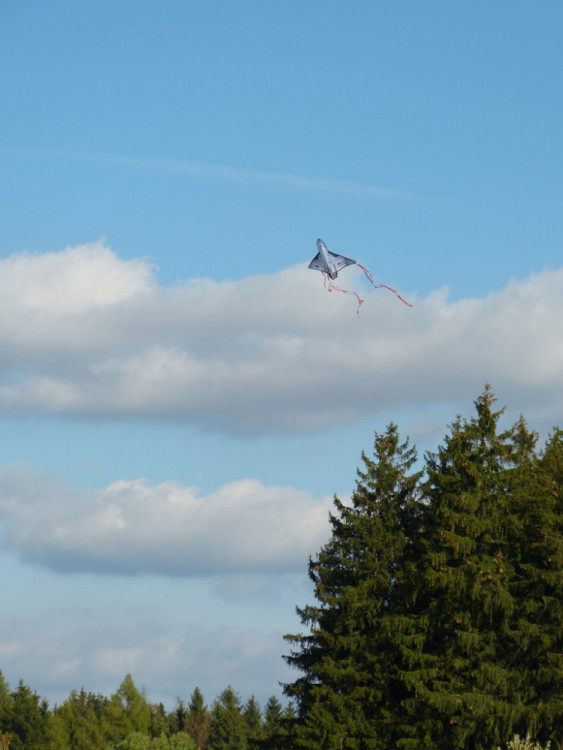 Drakiáda na letišti v Henčově