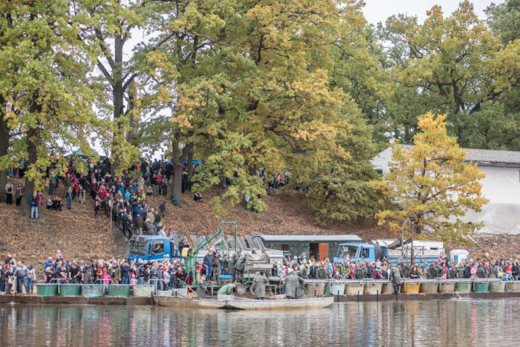 Slavnostní výlov Rožmberku je za námi. Akce přílákala masy lidí