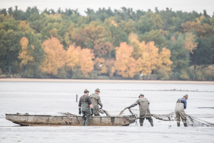 Slavnostní výlov Rožmberku je za námi. Akce přílákala masy lidí