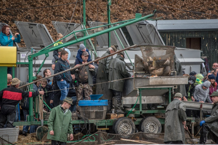 Slavnostní výlov Rožmberku je za námi. Akce přílákala masy lidí