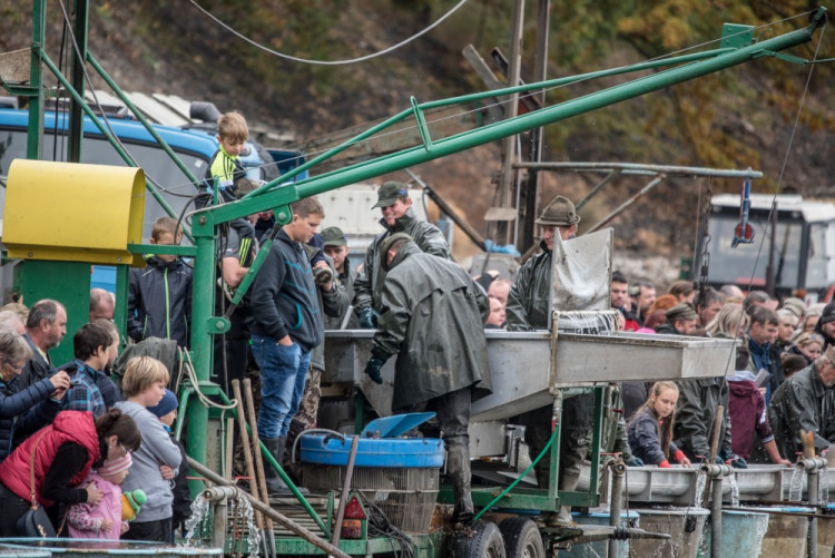 Slavnostní výlov Rožmberku je za námi. Akce přílákala masy lidí
