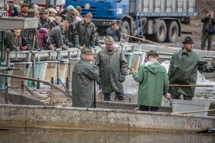 Slavnostní výlov Rožmberku je za námi. Akce přílákala masy lidí