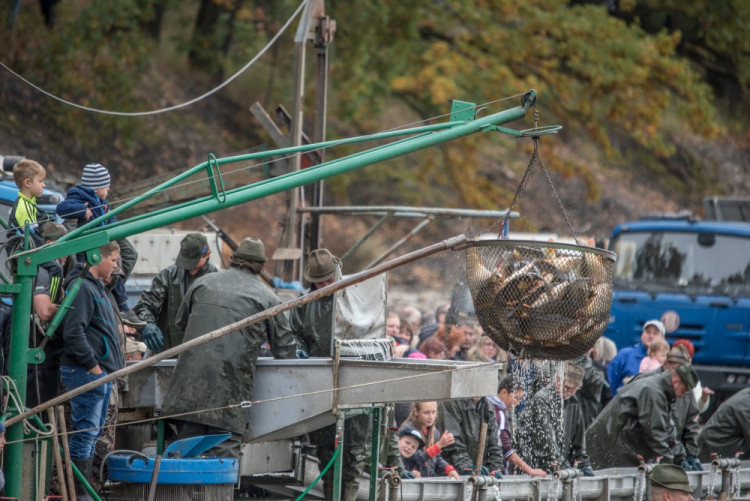 Slavnostní výlov Rožmberku je za námi. Akce přílákala masy lidí