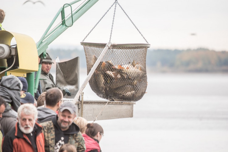 Slavnostní výlov Rožmberku je za námi. Akce přílákala masy lidí