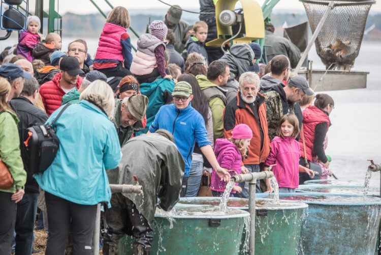 Slavnostní výlov Rožmberku je za námi. Akce přílákala masy lidí