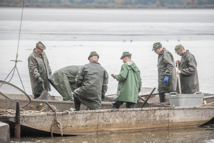 Slavnostní výlov Rožmberku je za námi. Akce přílákala masy lidí