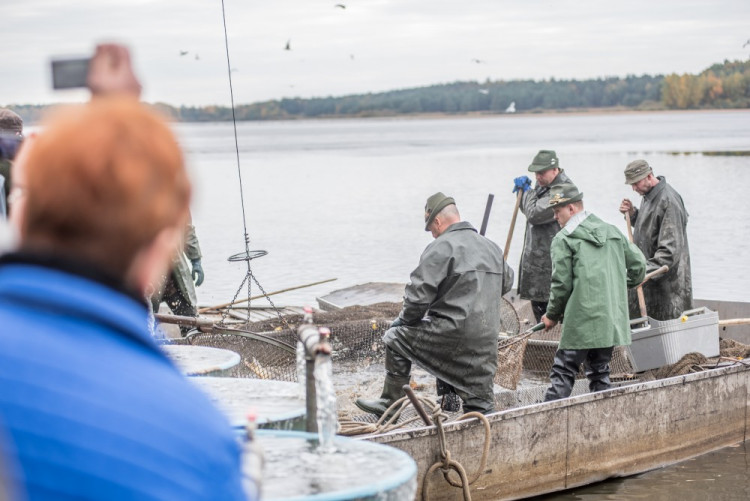 Slavnostní výlov Rožmberku je za námi. Akce přílákala masy lidí
