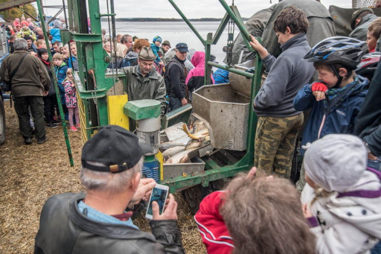 Slavnostní výlov Rožmberku je za námi. Akce přílákala masy lidí