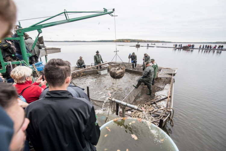 Slavnostní výlov Rožmberku je za námi. Akce přílákala masy lidí