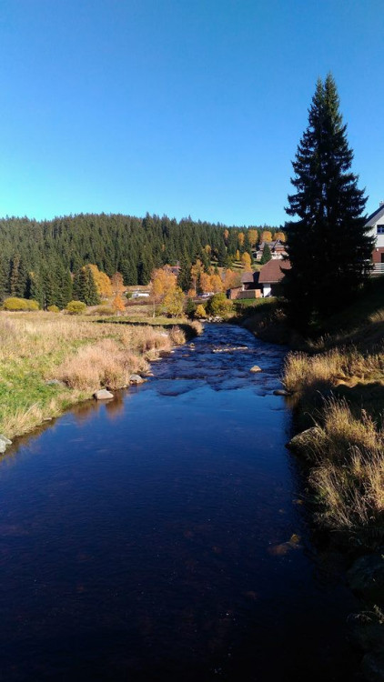 Podzim na jihu Čech