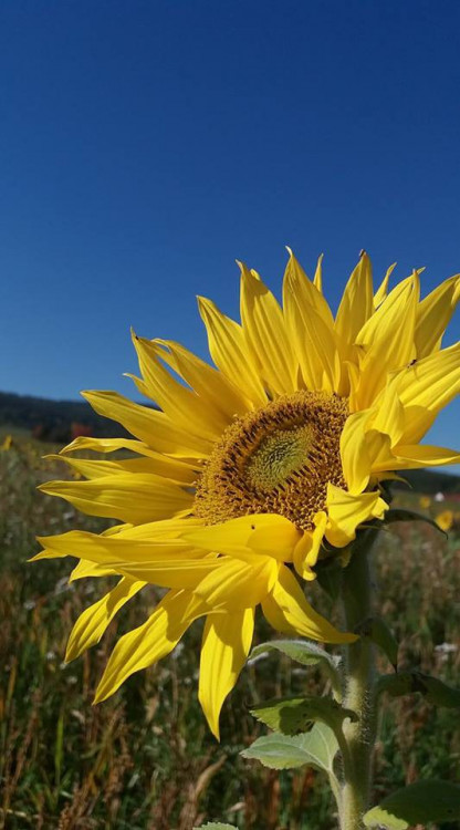 Podzim na jihu Čech