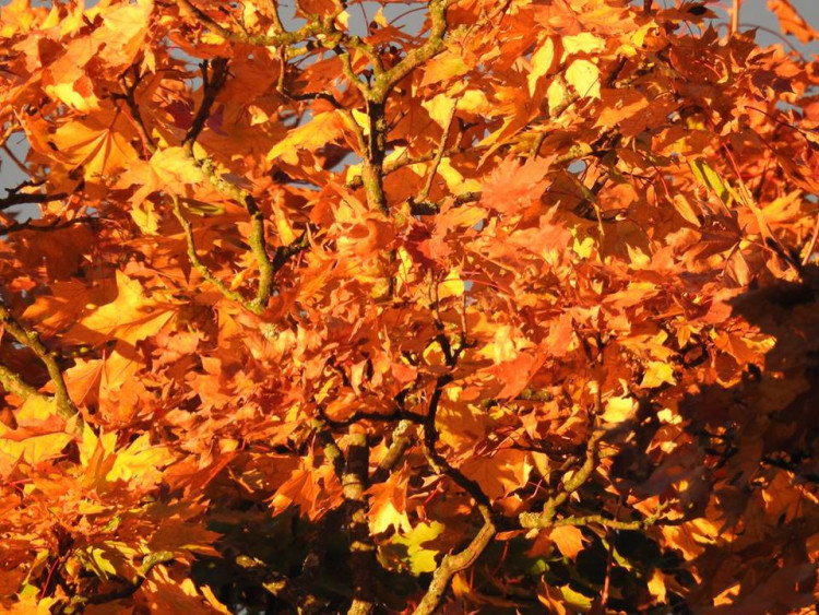 Podzim na jihu Čech