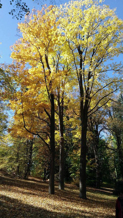 Podzim na jihu Čech