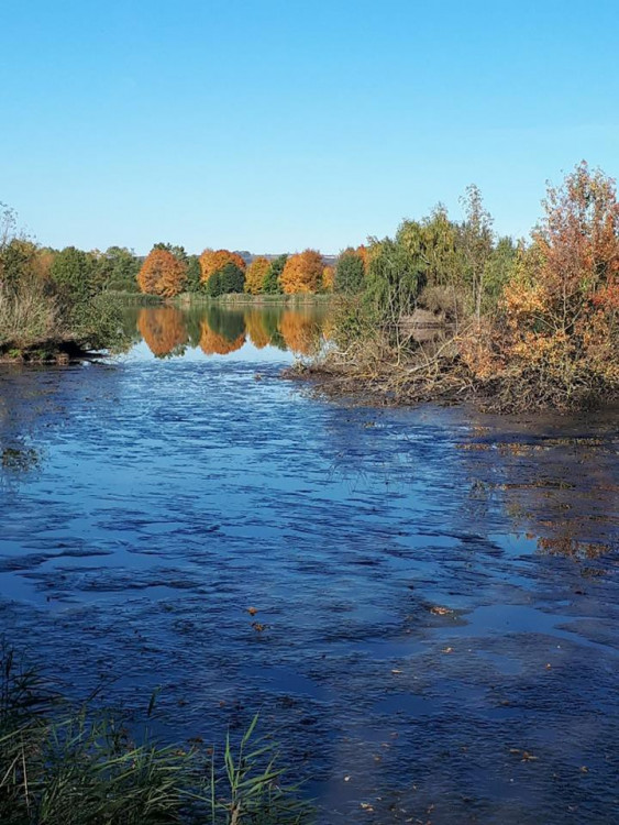 Podzim na jihu Čech