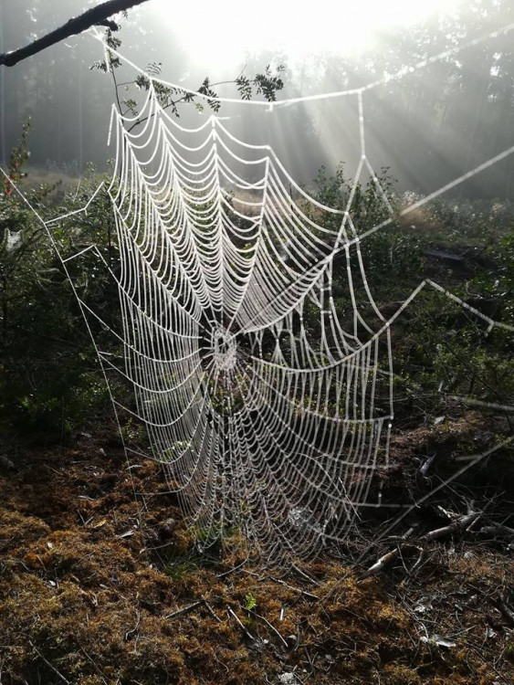 Podzim na jihu Čech